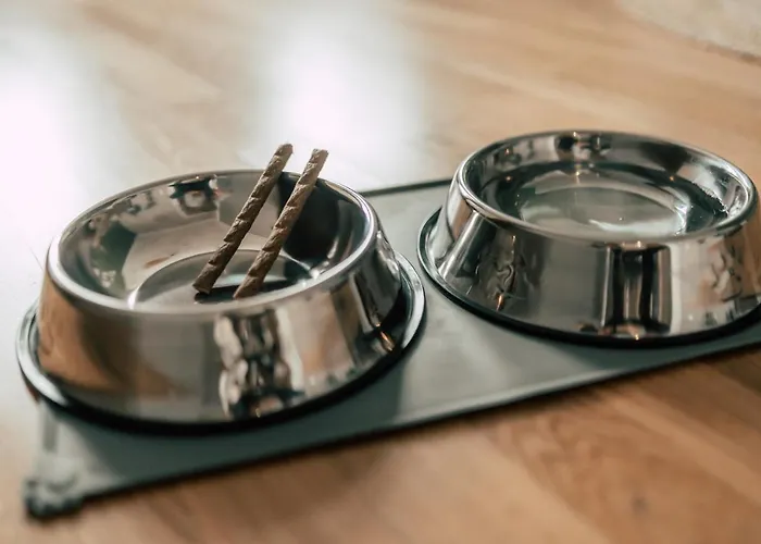 Luga Homes - Rosental Apartament